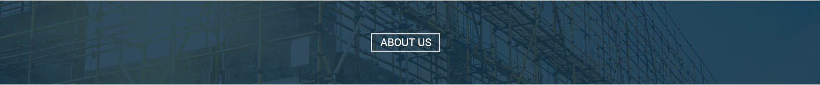 About Walden Development Group